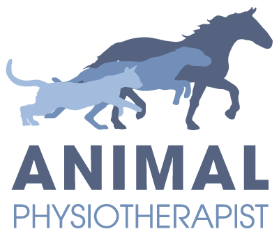 physiotherapy-featured-image-1024x706.jpg_1 blank